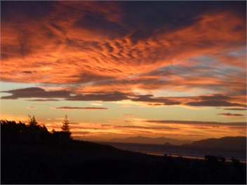 View from house