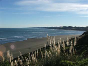 Wainui Beach