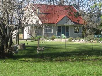Your beautiful little cottage.