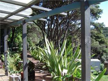 View across the deck