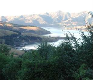 Morning view from the cottage