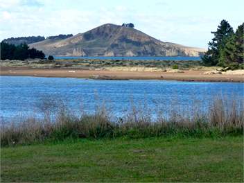 View from back yard