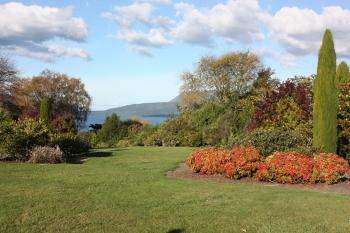 Waitangi Loft gardens