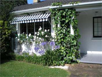 Roses at Bayswater Cottage