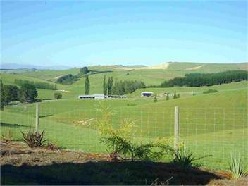 View from Aoraki Cottage over Deer Farm
