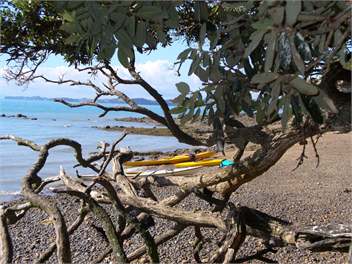 This is kayaking heaven  for us 