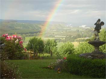 The garden and view 