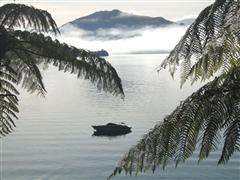 The mooring