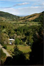 Foley's Creek seen from above
