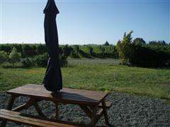 View from The Winemaker's Retreat