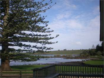 View from Deck