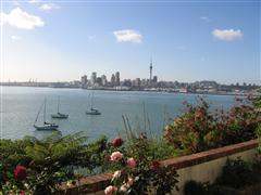 view from your patio deck