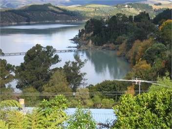 View from garden