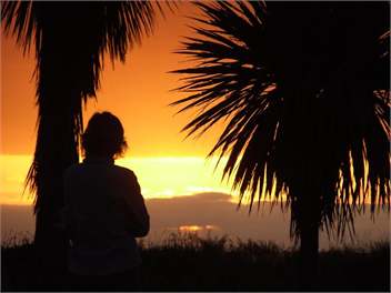 another sunset