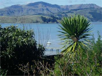 view towards Mt Herbert