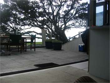 View to beach from deck through pohutukawa