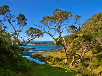 Access to one of FOUR private beaches