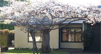 Cherry Tree Cottage