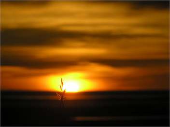 Sun Rise Golden bay