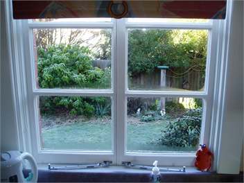 View from Kitchen Window