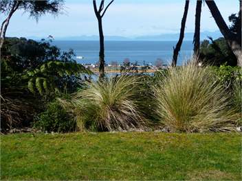 View to Kaiteriteri Beach