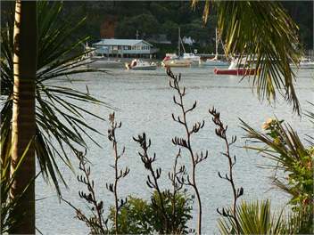 View from deck