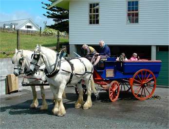 Shires Pull the Waggon
