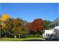 Fernside garden - autumn
