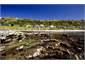 Community