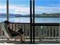 View the harbour from living room and verandah