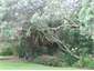 Garden setting