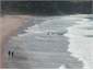 Great surf beach with patrols in summer