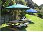 Lawn with furniture