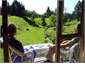 Overlooking the Araheke Stream from the deck
