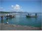 Hokianga Harbour