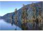 Lake Brunner From Petrel Creek