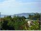 view from the kitchen 