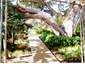 Walk way to house and to the studio