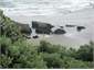 Whites Beach Rock Pools