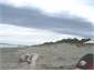 Waikuku Beach