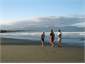 On the beach in the evening