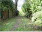 Bush path to jetty