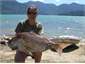 Snapper catch by Ohingaroa Bay cabin guests 
