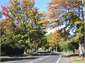 The neighbourhood in Autumn