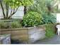 More of the garden area