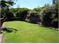 Gardens & Lawns