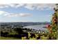 Dargaville , from the museum