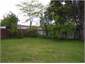 Back garden