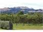 The view of Te Mata Peak