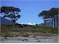 Towards the Southern Alps